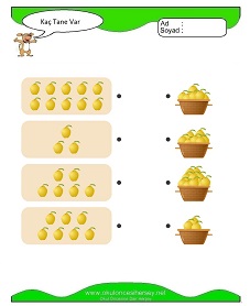 Kaç Tane Var Çalışma Sayfaları